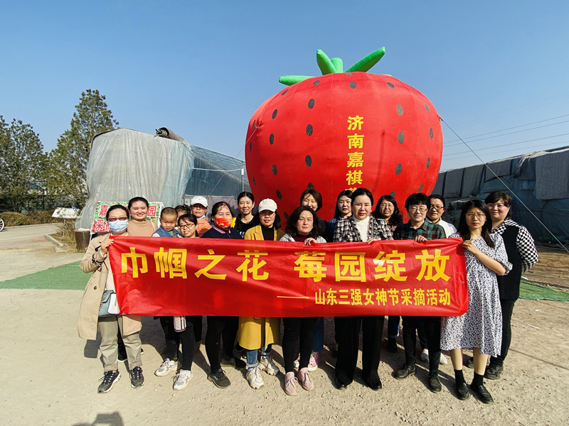 巾幗之花，莓園綻放 ——山東三強組織“三八”節(jié)踏青采摘活動